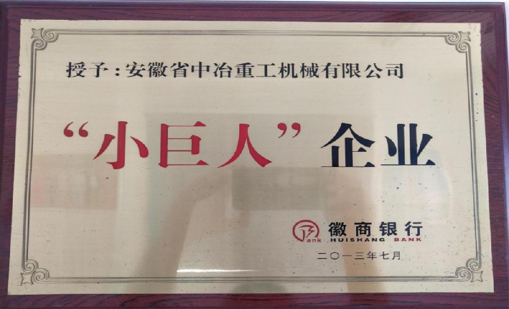 “小巨人”企业